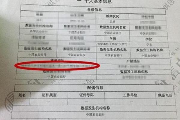 如何查询自己的征信报告，检查是否存在问题